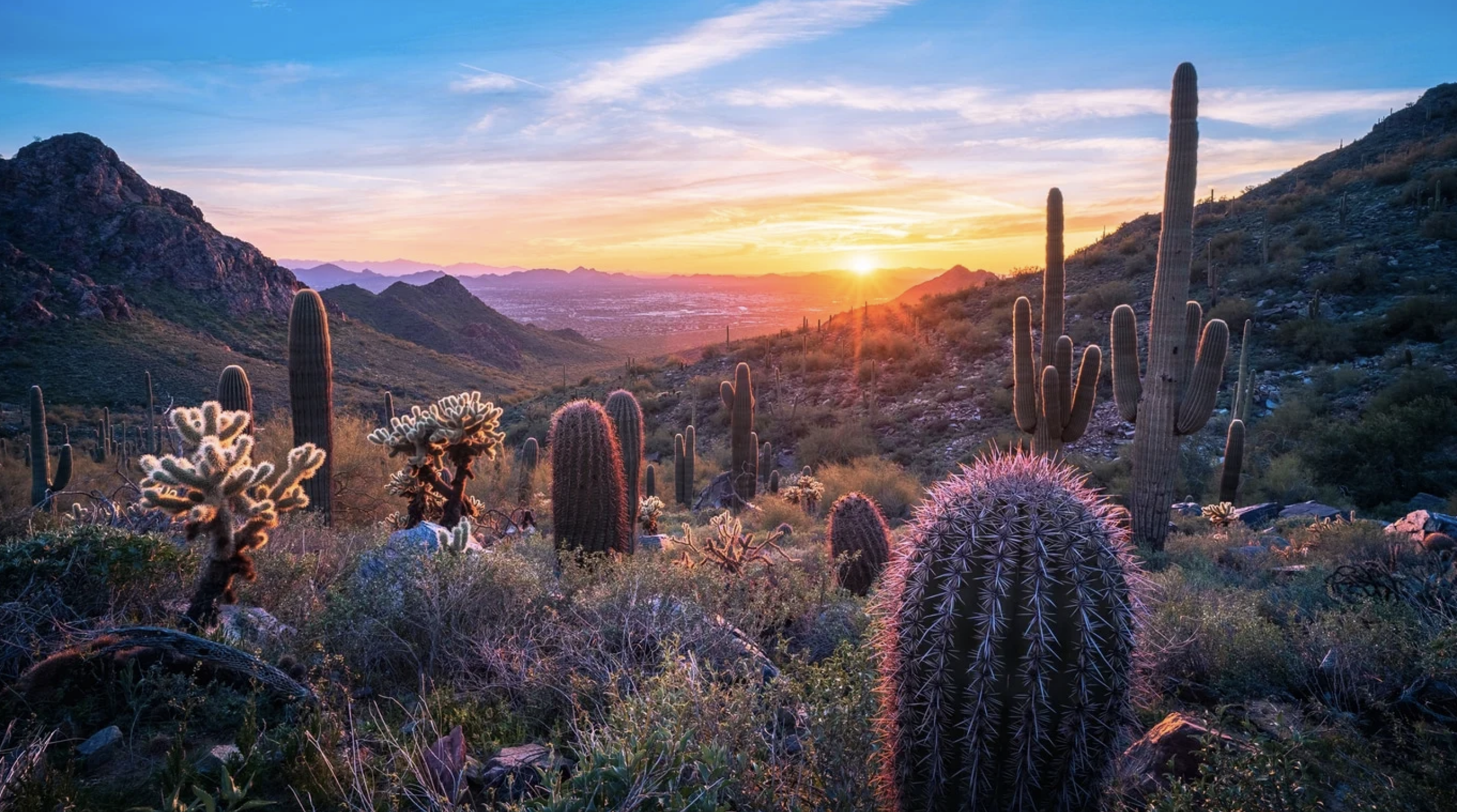 Colorful desert sunset in Scottsdale, Arizona, a popular destination for Oregon residents relocating for sunshine, outdoor living, and a lower-maintenance lifestyle.